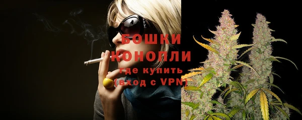 apvp Новозыбков
