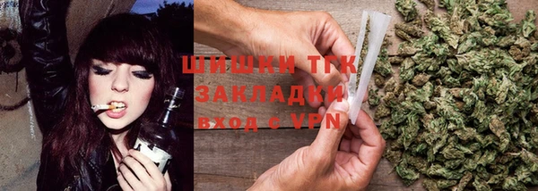 apvp Новозыбков